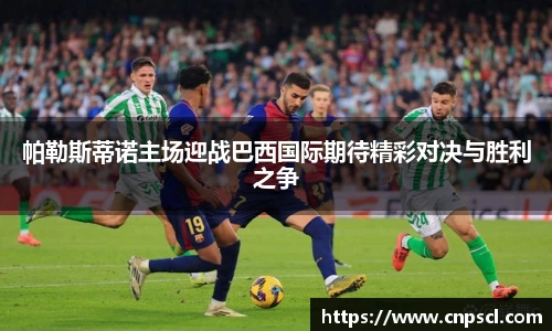 雷竞技raybet·(中国)官方网站